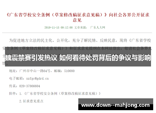 魏震禁赛引发热议 如何看待处罚背后的争议与影响