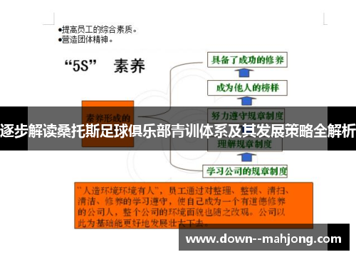 逐步解读桑托斯足球俱乐部青训体系及其发展策略全解析