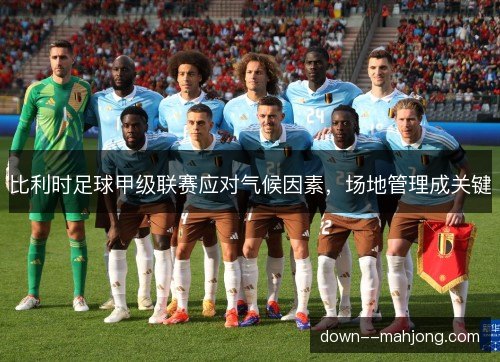 比利时足球甲级联赛应对气候因素，场地管理成关键